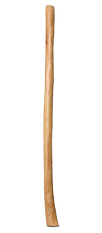 Natural Finish Didgeridoo (TW1136)